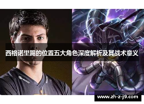 西格诺里踢的位置五大角色深度解析及其战术意义