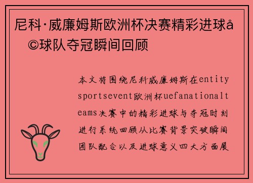 尼科·威廉姆斯欧洲杯决赛精彩进球助球队夺冠瞬间回顾